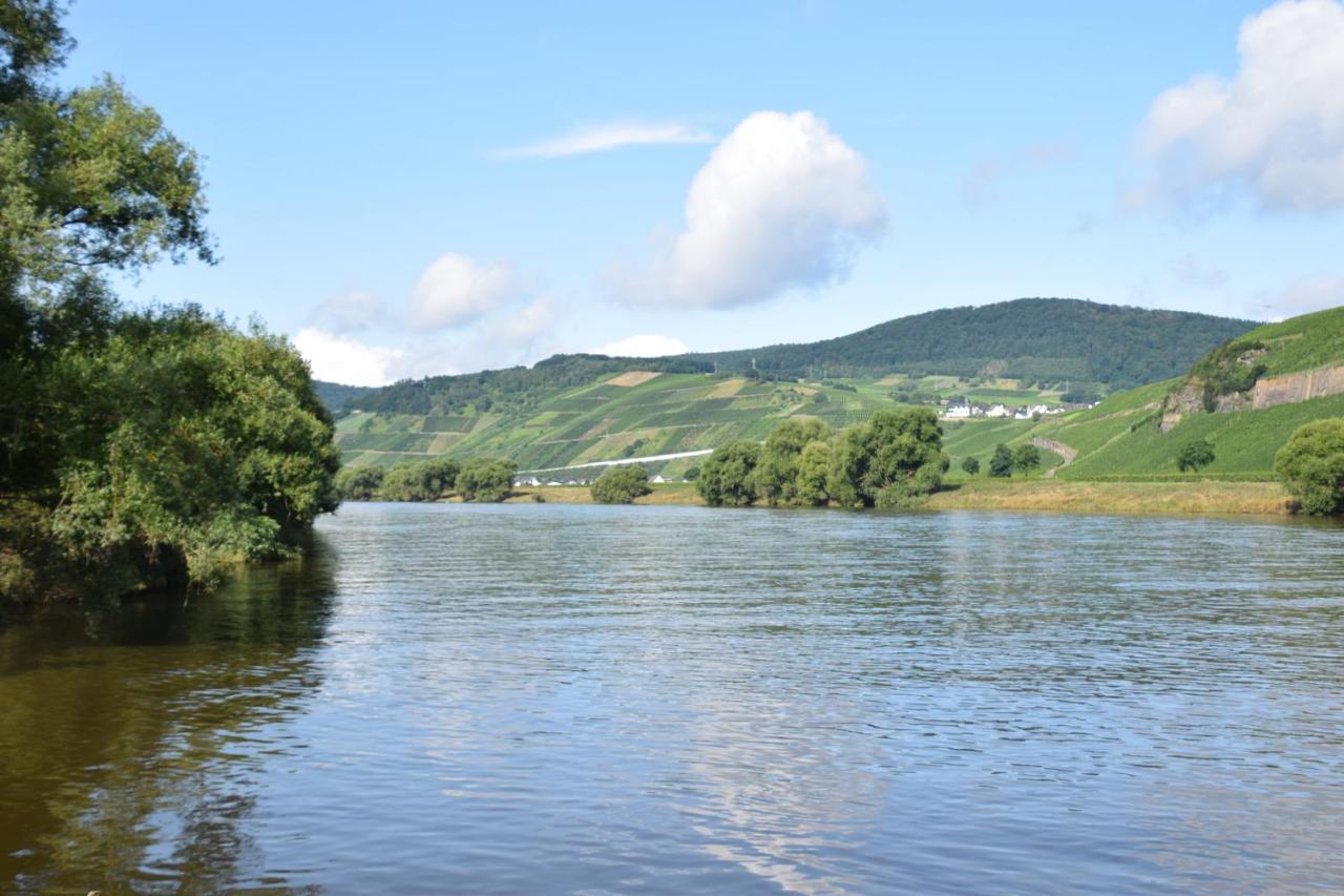 The Old Gemeinde House By The Mosel River Leilighet Brauneberg Eksteriør bilde