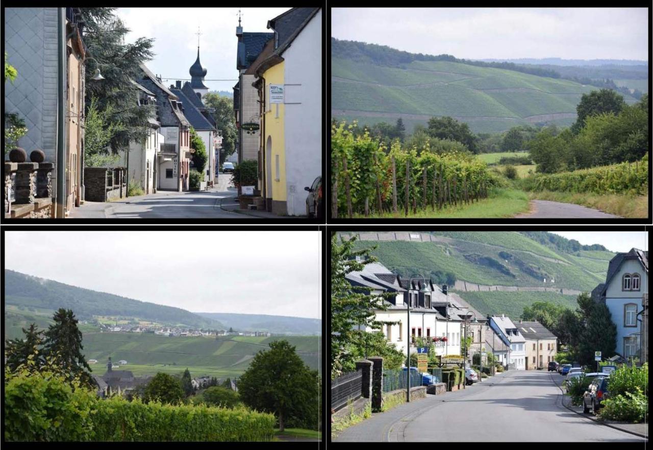 The Old Gemeinde House By The Mosel River Leilighet Brauneberg Eksteriør bilde